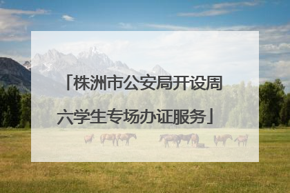 株洲市公安局开设周六学生专场办证服务