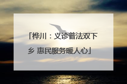 桦川：义诊普法双下乡 惠民服务暖人心