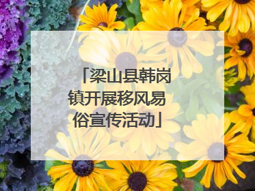 梁山县韩岗镇开展移风易俗宣传活动