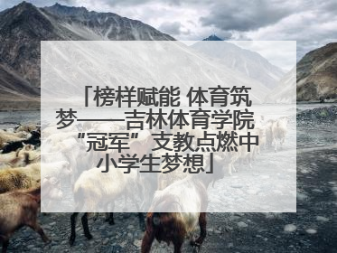 榜样赋能 体育筑梦——吉林体育学院“冠军”支教点燃中小学生梦想