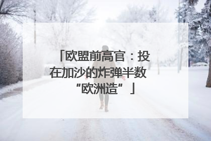 欧盟前高官：投在加沙的炸弹半数“欧洲造”