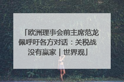 欧洲理事会前主席范龙佩呼吁各方对话：关税战没有赢家｜世界观