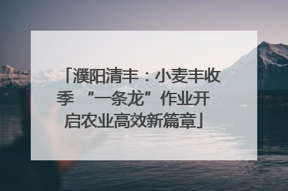 濮阳清丰：小麦丰收季 “一条龙”作业开启农业高效新篇章