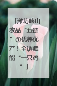 潍坊峡山农品“五链”③优养优产！全链赋能“一只鸡”