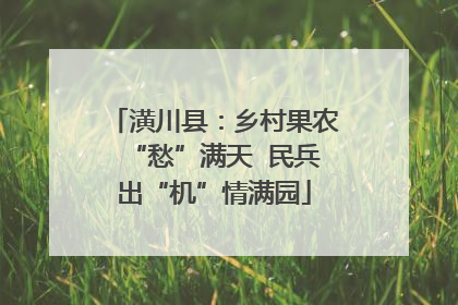 潢川县：乡村果农“愁”满天  民兵出“机”情满园