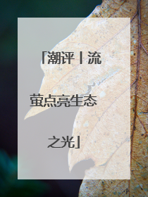 潮评丨流萤点亮生态之光