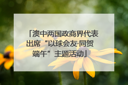 澳中两国政商界代表出席“以球会友·同贺端午”主题活动