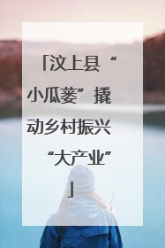 汶上县“小瓜蒌”撬动乡村振兴“大产业”