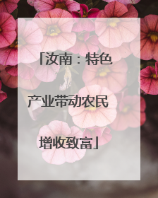 汝南：特色产业带动农民增收致富
