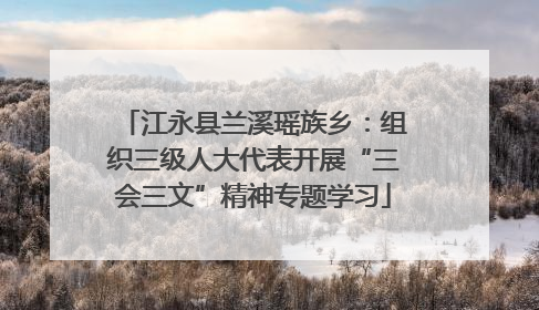 江永县兰溪瑶族乡：组织三级人大代表开展“三会三文”精神专题学习
