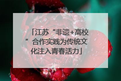 江苏“非遗+高校”合作实践为传统文化注入青春活力