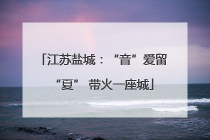 江苏盐城：“音”爱留“夏” 带火一座城