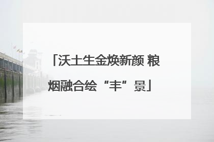 沃土生金焕新颜 粮烟融合绘“丰”景