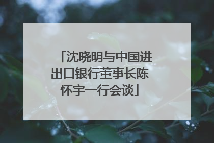 沈晓明与中国进出口银行董事长陈怀宇一行会谈