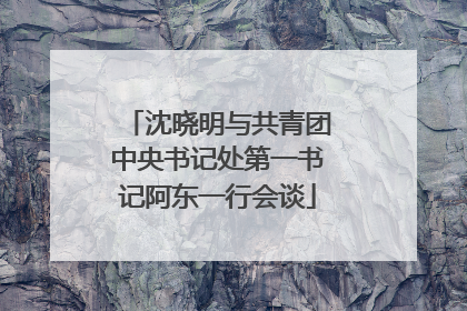 沈晓明与共青团中央书记处第一书记阿东一行会谈
