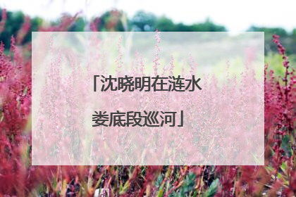 沈晓明在涟水娄底段巡河