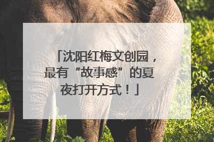 沈阳红梅文创园，最有“故事感”的夏夜打开方式！