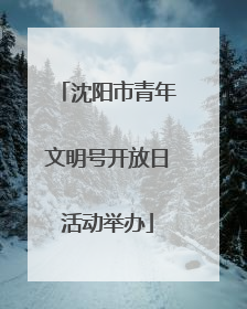 沈阳市青年文明号开放日活动举办
