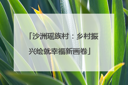 沙洲瑶族村：乡村振兴绘就幸福新画卷