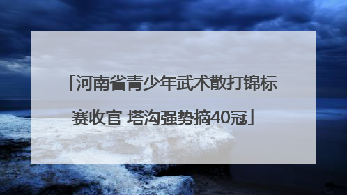 河南省青少年武术散打锦标赛收官 塔沟强势摘40冠