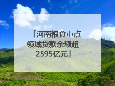 河南粮食重点领域贷款余额超2595亿元