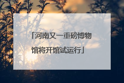 河南又一重磅博物馆将开馆试运行