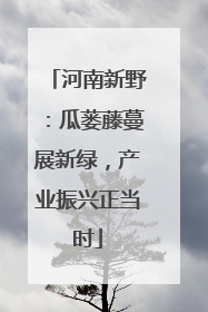 河南新野：瓜蒌藤蔓展新绿，产业振兴正当时