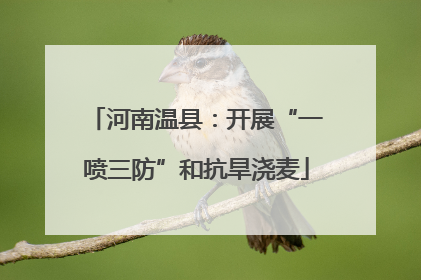 河南温县：开展“一喷三防”和抗旱浇麦