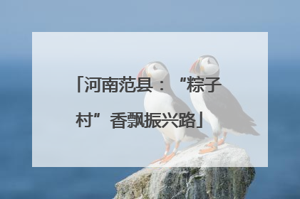 河南范县：“粽子村”香飘振兴路