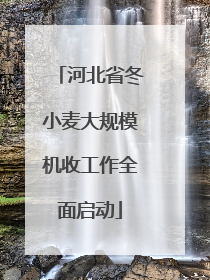河北省冬小麦大规模机收工作全面启动