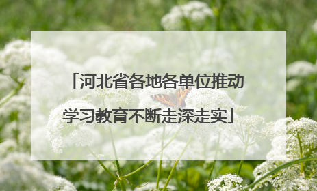 河北省各地各单位推动学习教育不断走深走实