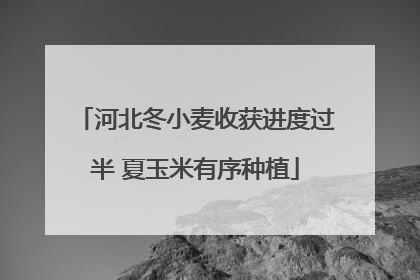 河北冬小麦收获进度过半 夏玉米有序种植