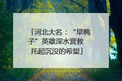 河北大名：“旱鸭子”英雄深水营救 托起沉没的希望