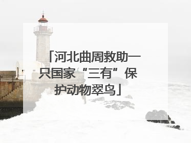 河北曲周救助一只国家“三有”保护动物翠鸟