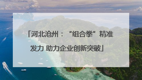 河北沧州：“组合拳”精准发力 助力企业创新突破