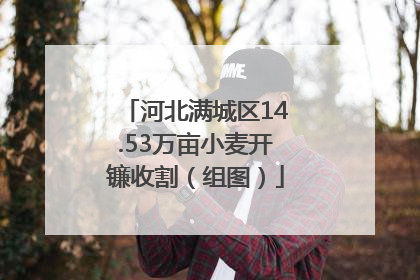 河北满城区14.53万亩小麦开镰收割（组图）