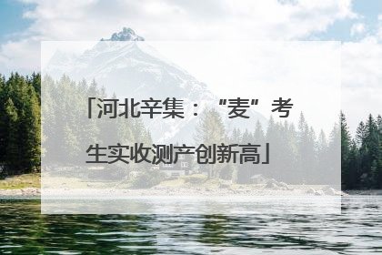 河北辛集：“麦”考生实收测产创新高