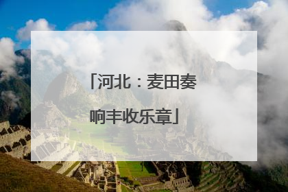河北：麦田奏响丰收乐章