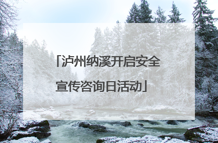 泸州纳溪开启安全宣传咨询日活动
