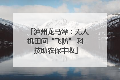 泸州龙马潭：无人机田间“飞防” 科技助农保丰收