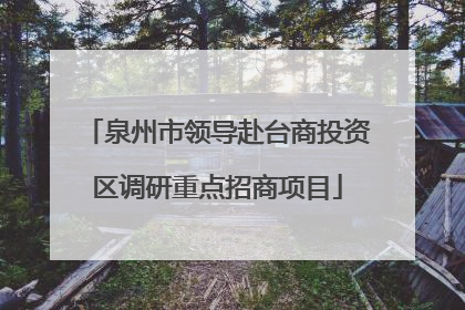 泉州市领导赴台商投资区调研重点招商项目