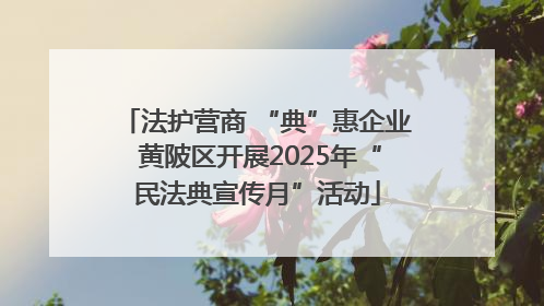 法护营商 “典”惠企业 黄陂区开展2025年“民法典宣传月”活动