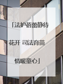 法护蓓蕾静待花开 司法育苗情暖童心