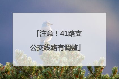 注意！41路支公交线路有调整