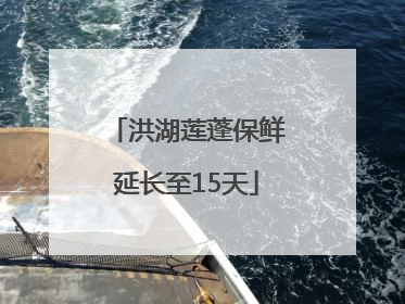 洪湖莲蓬保鲜延长至15天