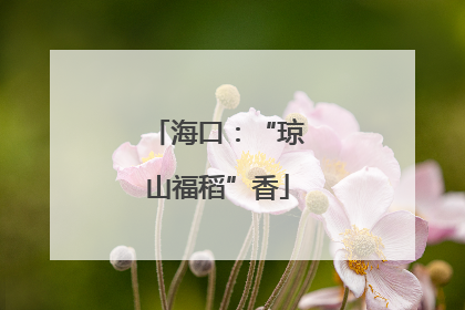 海口：“琼山福稻”香