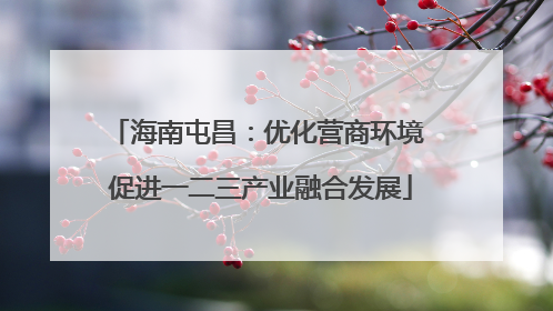 海南屯昌：优化营商环境 促进一二三产业融合发展