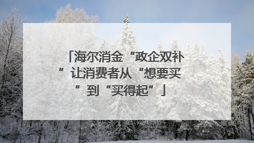 海尔消金“政企双补”让消费者从“想要买”到“买得起”