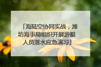 海陆空协同实战，潍坊海事局组织开展游艇人员落水应急演习
