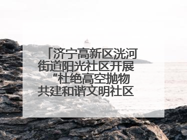 济宁高新区洸河街道阳光社区开展“杜绝高空抛物 共建和谐文明社区”宣传活动